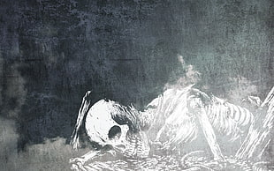 bone painting, skeleton, skull and bones, dead, gray