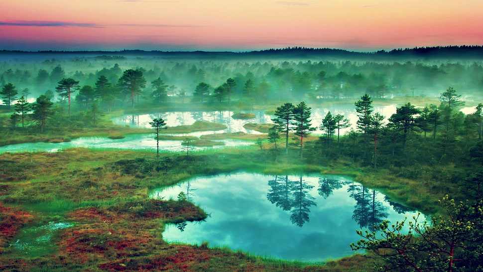 lake, landscape, nature, Estonia HD wallpaper