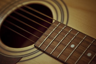 brown acoustic guitar, guitar, strings, wood