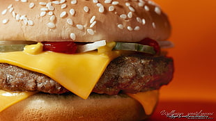 cheese burger, burgers, burger, meat, fast food HD wallpaper
