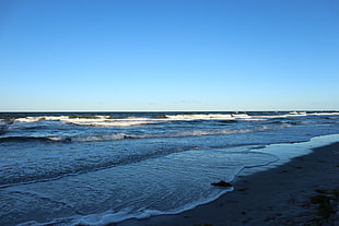 ocean beside sea shore during daytime HD wallpaper