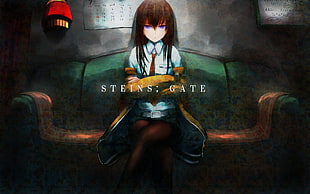 Steins Gate painting