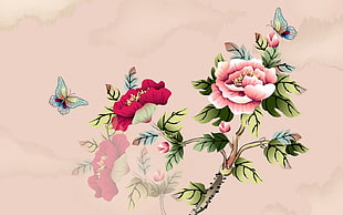 red and pink Peony flowers with butterflies illustration HD wallpaper