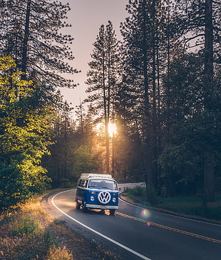 blue and white Volkswagen Transporter 2, photography, vw bus, forest, road