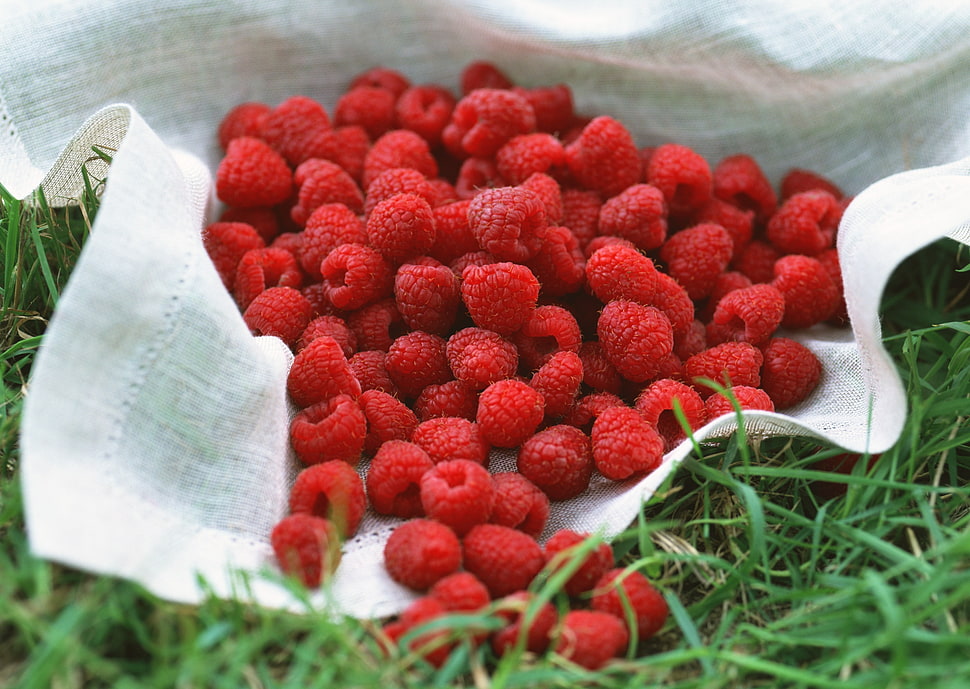 raspberry fruit lot HD wallpaper