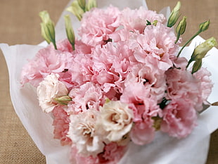 pink petaled flower buoquet