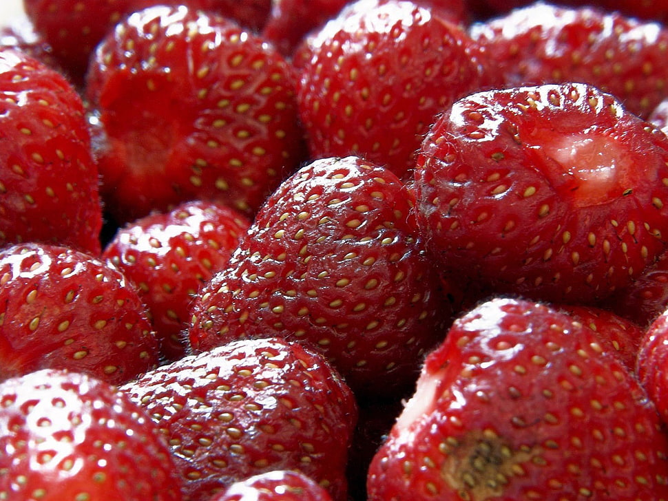 Strawberry's HD wallpaper