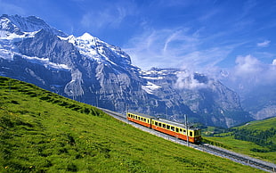 yellow and orange train passing by green field during daytime HD wallpaper