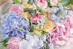 assorted-color of bouquet flowers