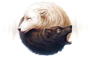 white and black wolves illustration, white hair, black hair, simple background, white background