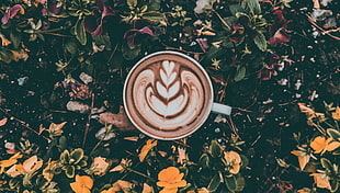 white ceramic cup, Coffee, Cup, Cappuccino