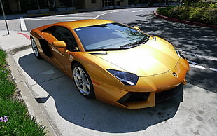 gold Lamborghini coupe, Lamborghini, car, Super Car , vehicle