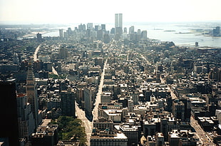 white concrete high rise buildings, cityscape, skyscraper, New York City, World Trade Centers