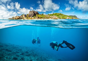 person diving underwater, landscape, scuba, underwater, coral