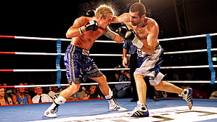 two men boxers fighting each other