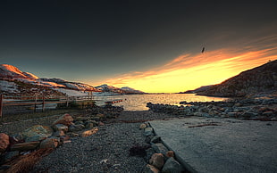 landscape photo of wooden dock near lake during golden hours HD wallpaper