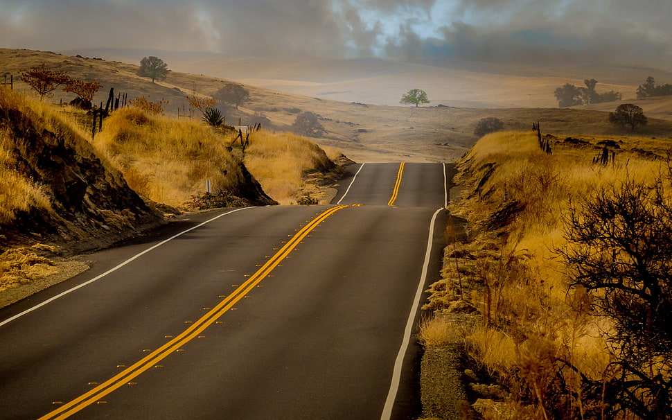 black asphalt road surrounded by yellow grass HD wallpaper