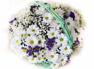 closeup photo of white petaled flower bouquet