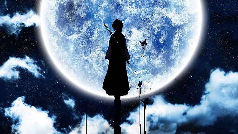silhoutte of a person digital art, Bleach, Kuchiki Rukia, silhouette, Moon HD wallpaper