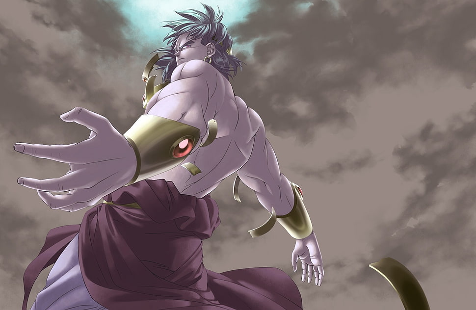 Broly Dragon Ball Z illustration, Dragon Ball, Broly HD wallpaper