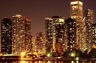 city skyline during nighttime