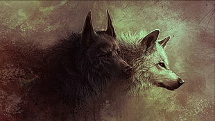 two black and white wolf paintings, wolf, animals HD wallpaper