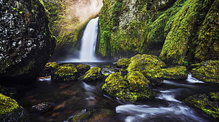 waterfalls photo, forest, green, waterfall HD wallpaper