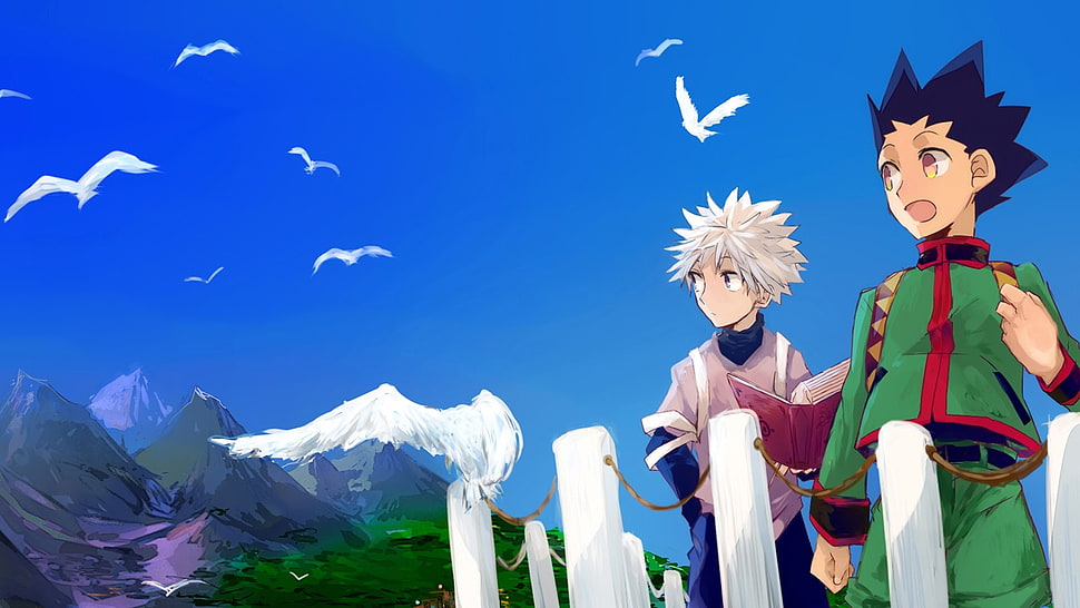 Hunter X Hunter Gon Freecs and Killua Zoldyck digital wallpaper, Hunter x Hunter, Gon Freecss , Killua Zoldyck HD wallpaper