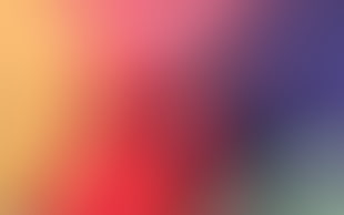 orange, red, and purple textile