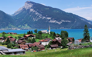urban city, Lake Thun, Switzerland