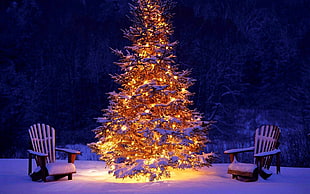 lighted snow covered christmas tree