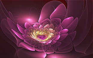 pink flower digital wallpaper