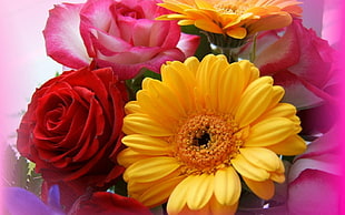 yellow, red, and pink flowers
