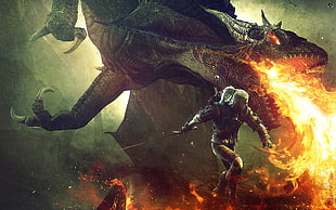 Dungeons and Dragons wallpaper, The Witcher, The Witcher 2: Assassins of Kings, Geralt of Rivia, dragon HD wallpaper