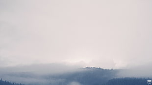 mountain and fog, noisy, mist, forest, clouds
