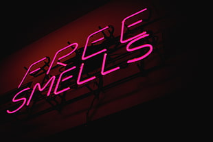 pink Free Smells neon light signage