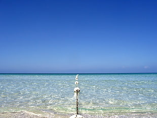 white floating buoy on body of water during daytime HD wallpaper