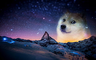 mountain with dog head edited photo HD wallpaper