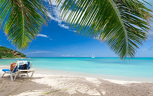 blue beach lounger, beach, summer, tropical, sea HD wallpaper