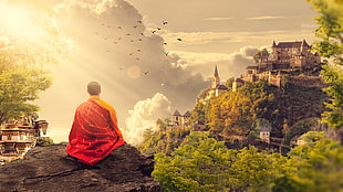 monk on stone during gold hour while flock of birds flying HD wallpaper