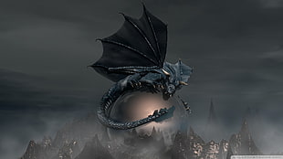 illustration of black dragon on crystal ball