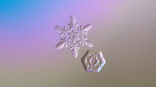 two snowflakes HD wallpaper