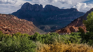mountains near green tress, landscape, mountains, nature HD wallpaper
