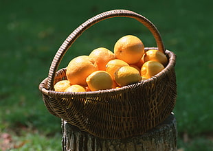 lemon fruit in basket HD wallpaper