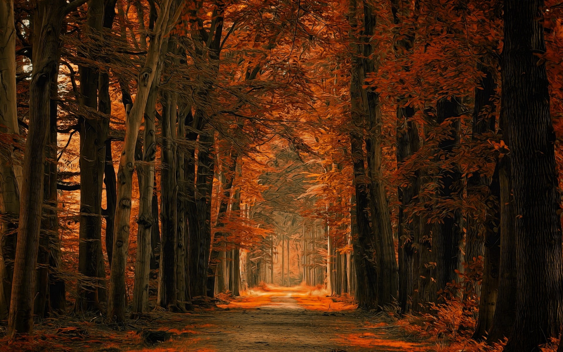 photography of brown trees