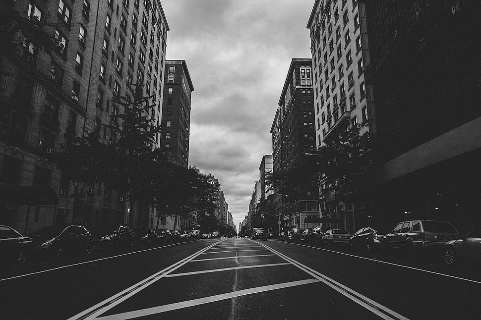 grayscale photography of high-rise building lined road, city, street HD wallpaper