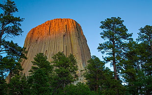 gray rock, Devils Tower, rock formation, monuments, forest