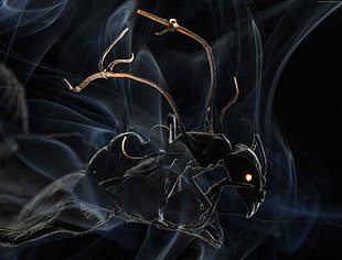 black wasp in black background illustration HD wallpaper