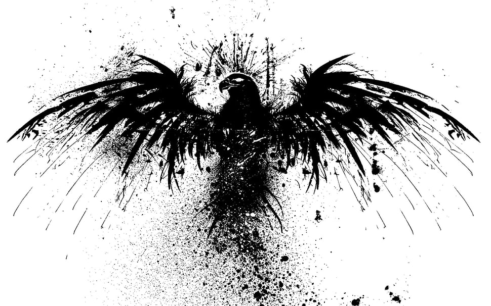 black bird digital wallpaper HD wallpaper