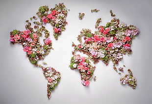 map of the world flowers, world, flowers, world map HD wallpaper